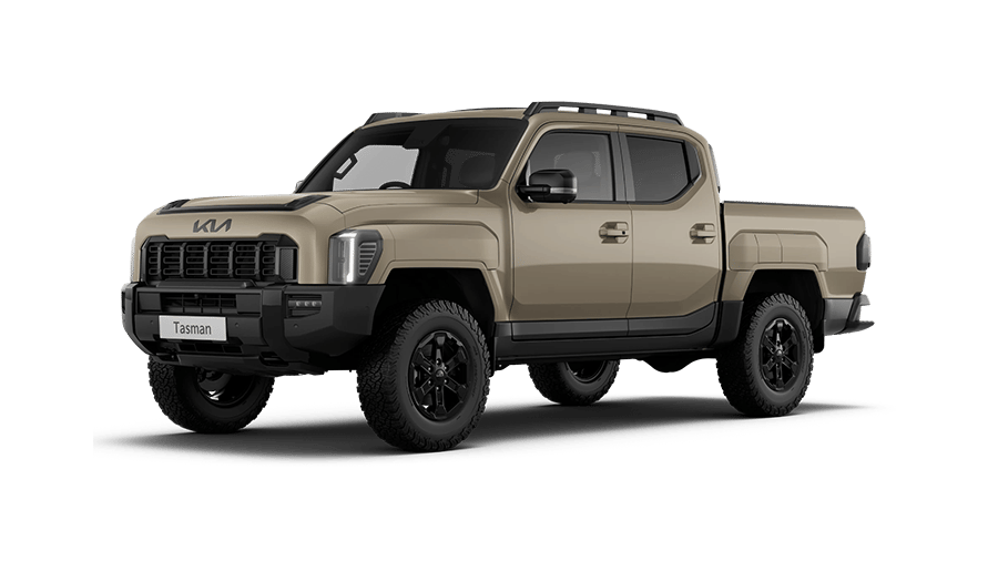 Tasman Pick-up