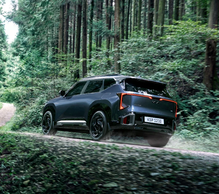 Kia Seltos rear view outdoor driving