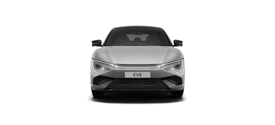 Wolf Grey