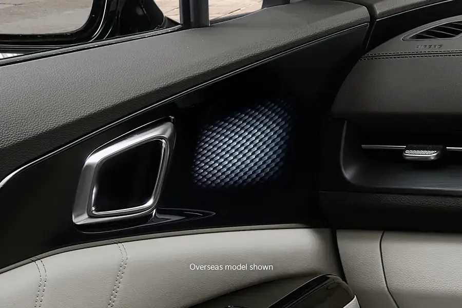 Kia Carnival interior mood lighting
