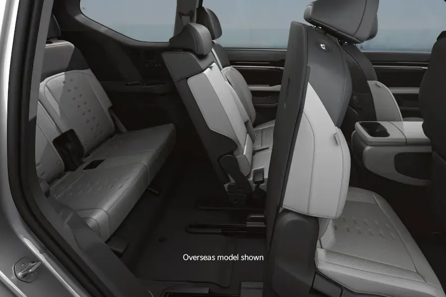 kia ev9 easy entry